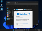 Win11_22631.2271_IoT_LTSC_rev.png