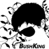 BushKing